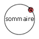 - sommaire -